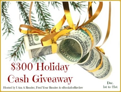 $300 Holiday Cash Giveaway