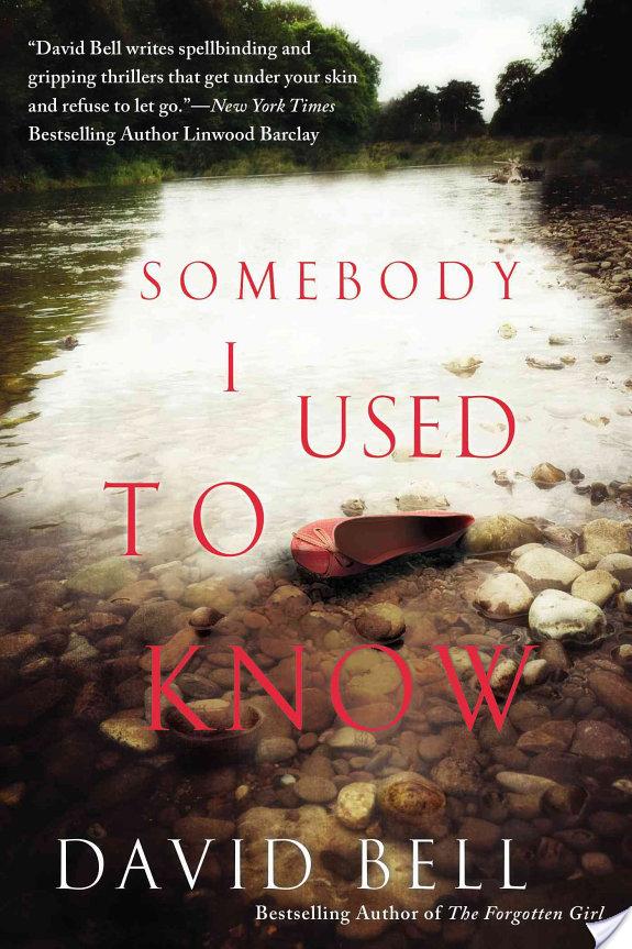 Somebody I Used to Know By David Bell