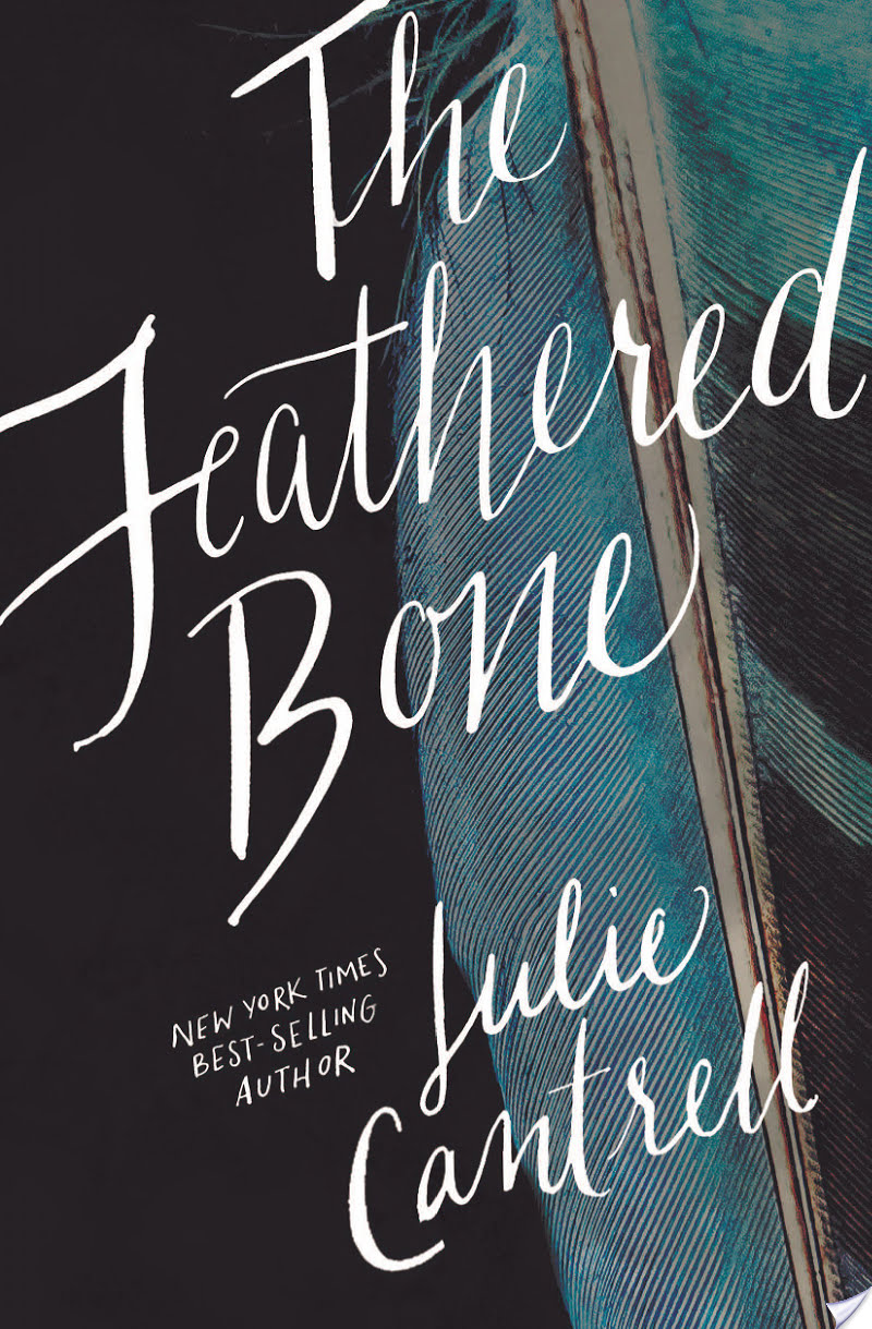 The Feathered Bone By Julie Cantrell