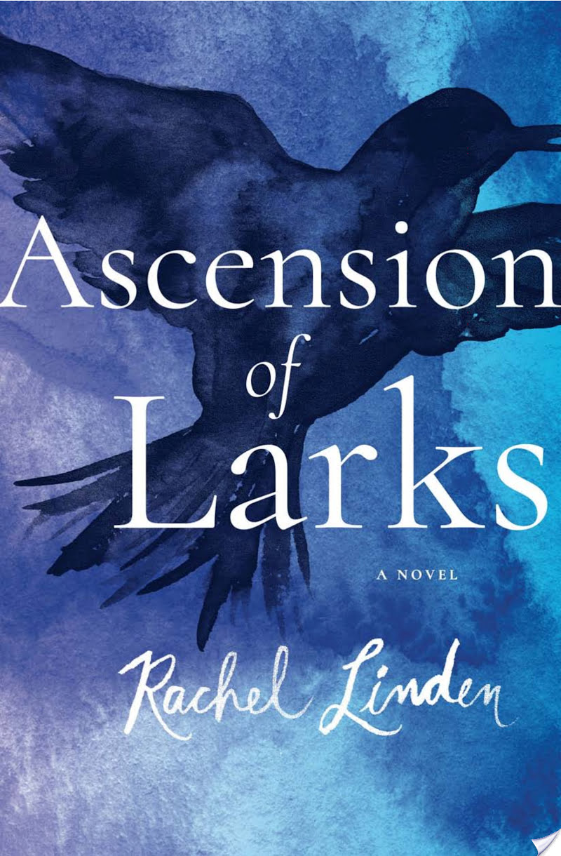 Ascension of Larks By Rachel Linden