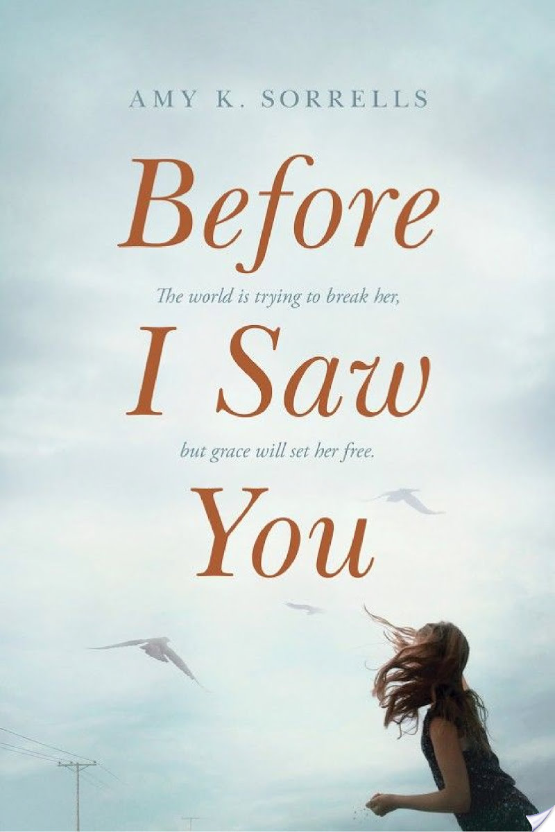 Before I Saw You By Amy Sorrells