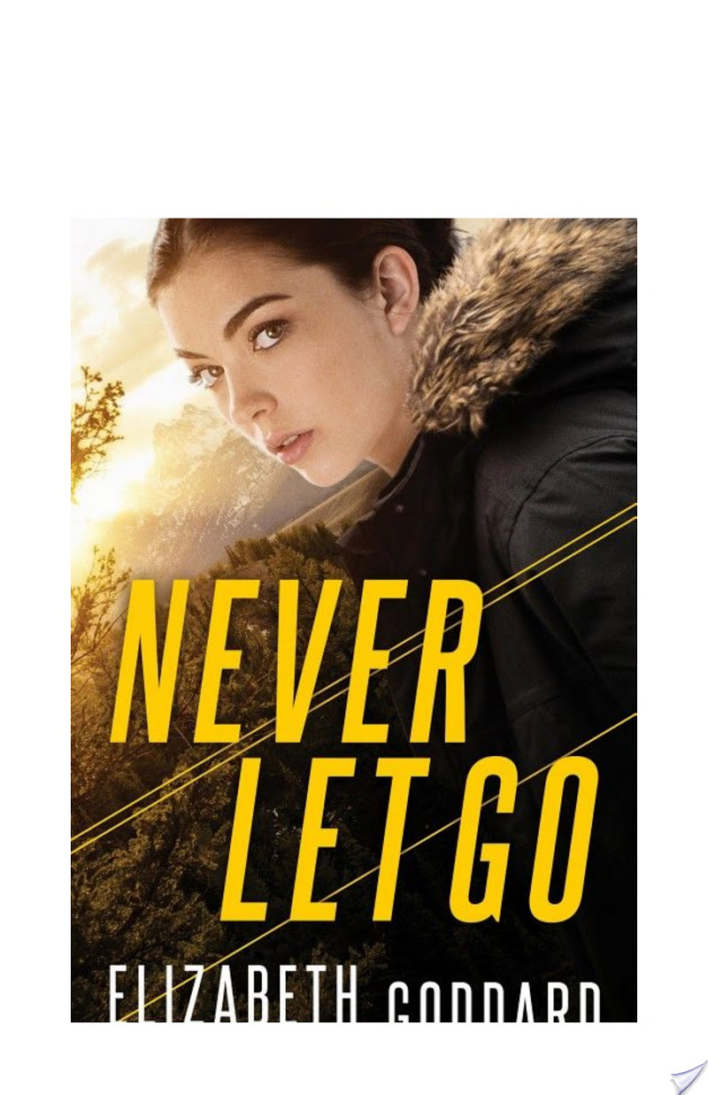 Never Let Go (Uncommon Justice Book #1) By Elizabeth Goddard