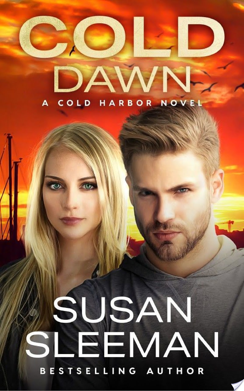 Cold Dawn By Susan Sleeman