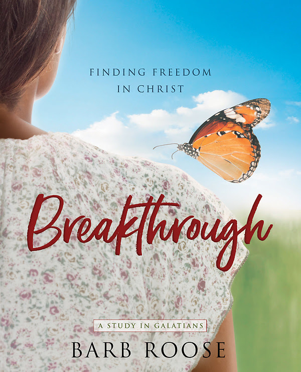 Part 1 of an Interview with Barb Roose, Author of Breakthrough