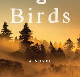 Sugar Birds by Cheryl Grey Bostrom