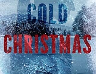 Stone Cold Christmas: A Christian Romantic Suspense Novel by Liz Bradford